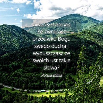 Picture 04 - Hioba 15:13 POLUBG - Że zwracasz przeciwko Bogu swego ducha i - Bible Verse Picture