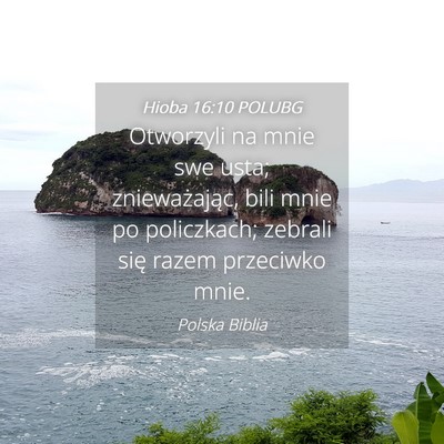 Picture 04 - Hioba 16:10 POLUBG - Otworzyli na mnie swe usta; znieważając, bili - Bible Verse Picture