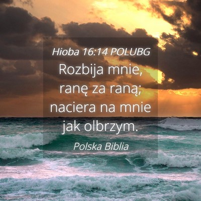 Picture 04 - Hioba 16:14 POLUBG - Rozbija mnie, ranę za raną; naciera na mnie jak - Bible Verse Picture
