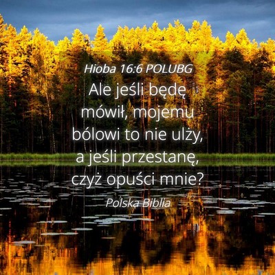 Picture 04 - Hioba 16:6 POLUBG - Ale jeśli będę mówił, mojemu bólowi to nie - Bible Verse Picture