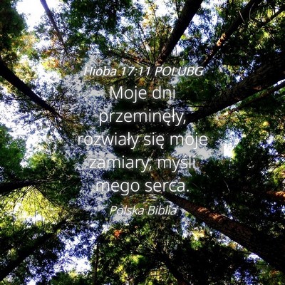 Picture 04 - Hioba 17:11 POLUBG - Moje dni przeminęły, rozwiały się moje - Bible Verse Picture