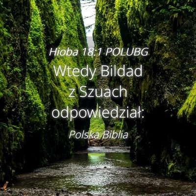 Picture 04 - Hioba 18:1 POLUBG - Wtedy Bildad z Szuach - Bible Verse Picture