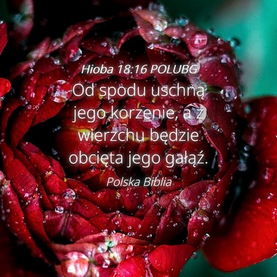 Picture 04 - Hioba 18:16 POLUBG - Od spodu uschną jego korzenie, a z wierzchu - Bible Verse Picture