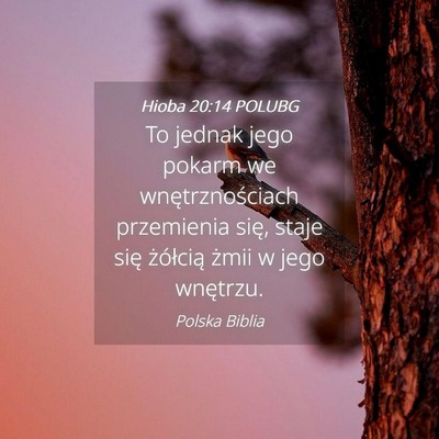 Picture 04 - Hioba 20:14 POLUBG - To jednak jego pokarm we wnętrznościach - Bible Verse Picture
