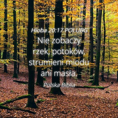 Picture 04 - Hioba 20:17 POLUBG - Nie zobaczy rzek, potoków, strumieni miodu ani - Bible Verse Picture