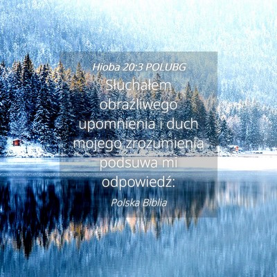 Picture 04 - Hioba 20:3 POLUBG - Słuchałem obraźliwego upomnienia i duch mojego - Bible Verse Picture
