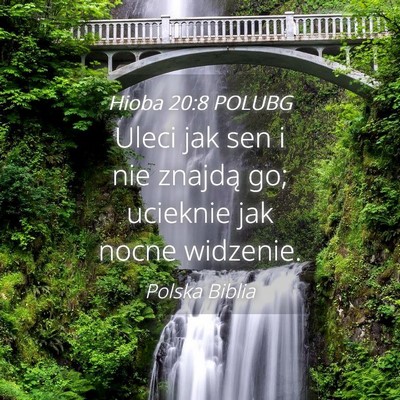 Picture 04 - Hioba 20:8 POLUBG - Uleci jak sen i nie znajdą go; ucieknie jak - Bible Verse Picture