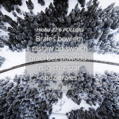 Picture 04 - Hioba 22:6 POLUBG - Brałeś bowiem zastaw od swoich braci bez powodu - Bible Verse Picture