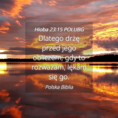 Picture 04 - Hioba 23:15 POLUBG - Dlatego drżę przed jego obliczem; gdy to - Bible Verse Picture