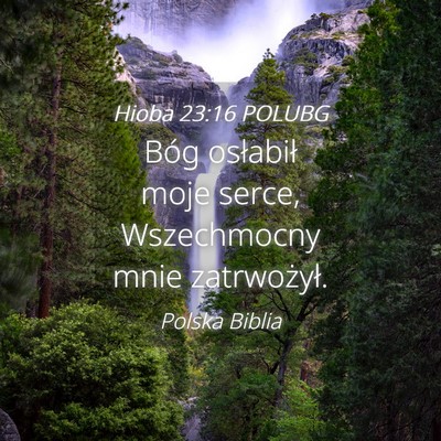 Picture 04 - Hioba 23:16 POLUBG - Bóg osłabił moje serce, Wszechmocny mnie - Bible Verse Picture