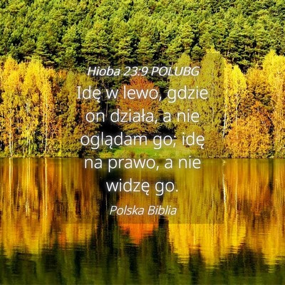 Picture 04 - Hioba 23:9 POLUBG - Idę w lewo, gdzie on działa, a nie oglądam go; - Bible Verse Picture