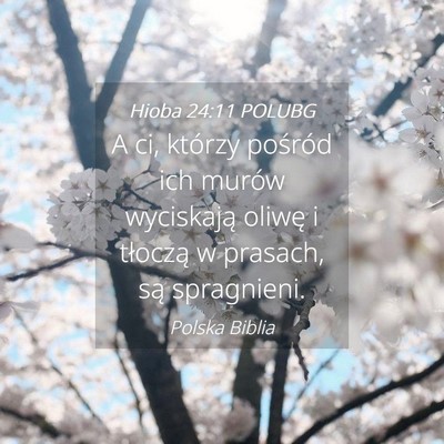 Picture 04 - Hioba 24:11 POLUBG - A ci, którzy pośród ich murów wyciskają - Bible Verse Picture