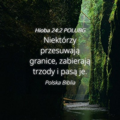 Picture 04 - Hioba 24:2 POLUBG - Niektórzy przesuwają granice, zabierają trzody - Bible Verse Picture
