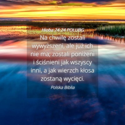Picture 04 - Hioba 24:24 POLUBG - Na chwilę zostali wywyższeni, ale już ich nie - Bible Verse Picture
