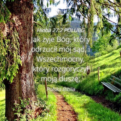 Picture 04 - Hioba 27:2 POLUBG - Jak żyje Bóg, który odrzucił mój sąd, i - Bible Verse Picture