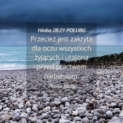 Picture 04 - Hioba 28:21 POLUBG - Przecież jest zakryta dla oczu wszystkich - Bible Verse Picture