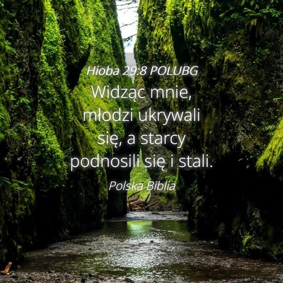 Picture 04 - Hioba 29:8 POLUBG - Widząc mnie, młodzi ukrywali się, a starcy - Bible Verse Picture