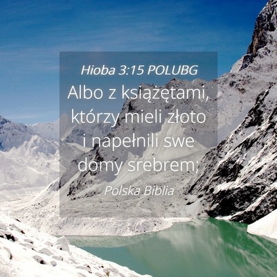 Picture 04 - Hioba 3:15 POLUBG - Albo z książętami, którzy mieli złoto i - Bible Verse Picture