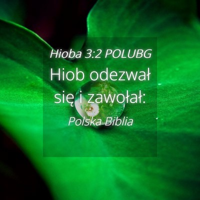 Picture 04 - Hioba 3:2 POLUBG - Hiob odezwał się i - Bible Verse Picture
