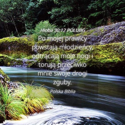 Picture 04 - Hioba 30:12 POLUBG - Po mojej prawicy powstają młodzieńcy, - Bible Verse Picture