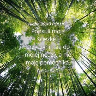 Picture 04 - Hioba 30:13 POLUBG - Popsuli moją ścieżkę i przyczynili się do - Bible Verse Picture