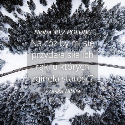 Picture 04 - Hioba 30:2 POLUBG - Na cóż by mi się przydała siła ich rąk, u - Bible Verse Picture