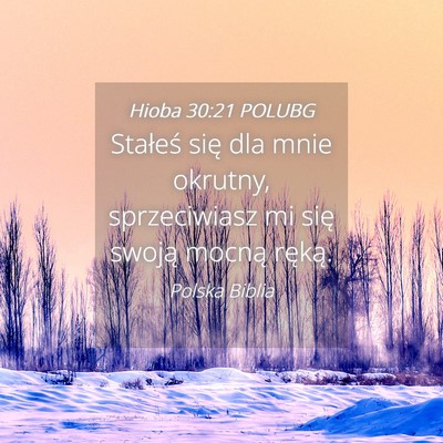 Picture 04 - Hioba 30:21 POLUBG - Stałeś się dla mnie okrutny, sprzeciwiasz mi - Bible Verse Picture