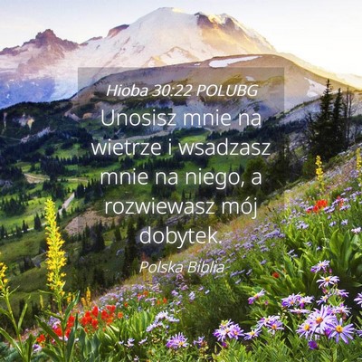 Picture 04 - Hioba 30:22 POLUBG - Unosisz mnie na wietrze i wsadzasz mnie na niego, - Bible Verse Picture