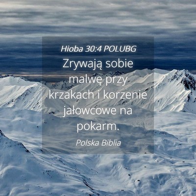 Picture 04 - Hioba 30:4 POLUBG - Zrywają sobie malwę przy krzakach i korzenie - Bible Verse Picture