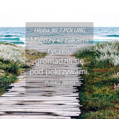 Picture 04 - Hioba 30:7 POLUBG - Między krzakami ryczeli, gromadzili się pod - Bible Verse Picture