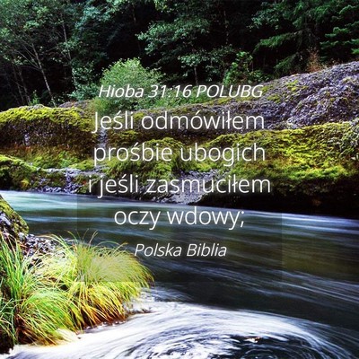 Picture 04 - Hioba 31:16 POLUBG - Jeśli odmówiłem prośbie ubogich i jeśli - Bible Verse Picture