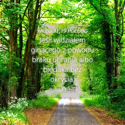 Picture 04 - Hioba 31:19 POLUBG - Jeśli widziałem ginącego z powodu braku - Bible Verse Picture