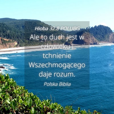 Picture 04 - Hioba 32:8 POLUBG - Ale to duch jest w człowieku i tchnienie - Bible Verse Picture
