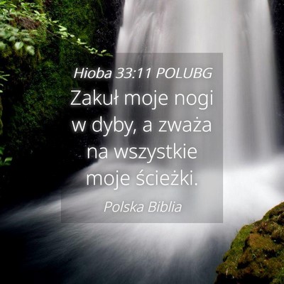 Picture 04 - Hioba 33:11 POLUBG - Zakuł moje nogi w dyby, a zważa na wszystkie - Bible Verse Picture