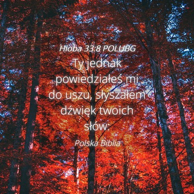 Picture 04 - Hioba 33:8 POLUBG - Ty jednak powiedziałeś mi do uszu, słyszałem - Bible Verse Picture