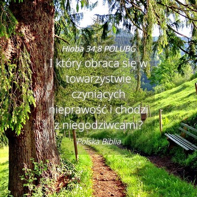 Picture 04 - Hioba 34:8 POLUBG - I który obraca się w towarzystwie czyniących - Bible Verse Picture