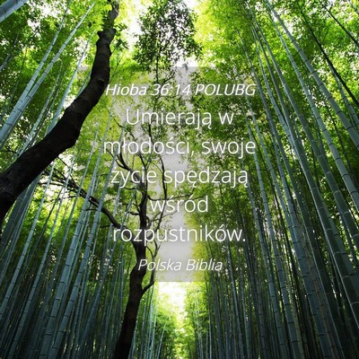 Picture 04 - Hioba 36:14 POLUBG - Umierają w młodości, swoje życie spędzają - Bible Verse Picture