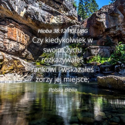 Picture 04 - Hioba 38:12 POLUBG - Czy kiedykolwiek w swoim życiu rozkazywałeś - Bible Verse Picture