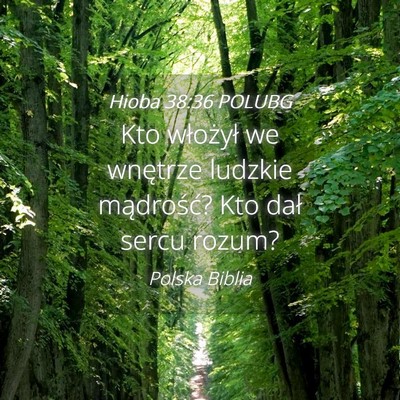 Picture 04 - Hioba 38:36 POLUBG - Kto włożył we wnętrze ludzkie mądrość? Kto - Bible Verse Picture