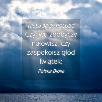 Picture 04 - Hioba 38:39 POLUBG - Czy lwu zdobyczy nałowisz, czy zaspokoisz głód - Bible Verse Picture