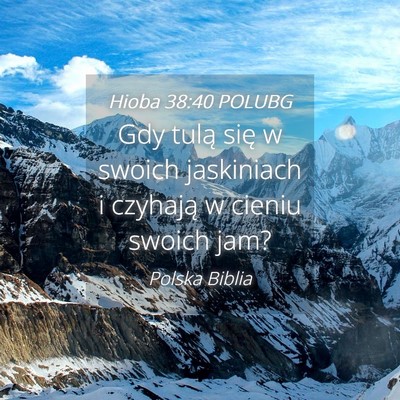 Picture 04 - Hioba 38:40 POLUBG - Gdy tulą się w swoich jaskiniach i czyhają w - Bible Verse Picture