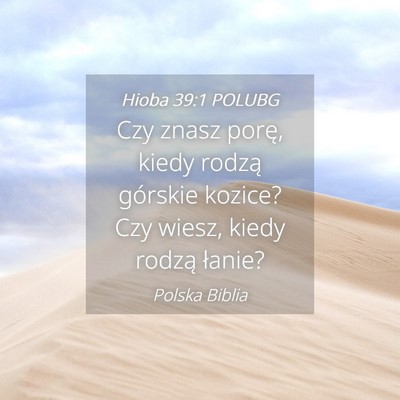 Picture 04 - Hioba 39:1 POLUBG - Czy znasz porę, kiedy rodzą górskie kozice? - Bible Verse Picture