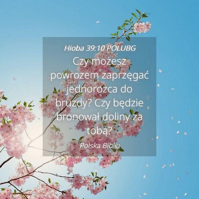 Picture 04 - Hioba 39:10 POLUBG - Czy możesz powrozem zaprzęgać jednorożca do - Bible Verse Picture