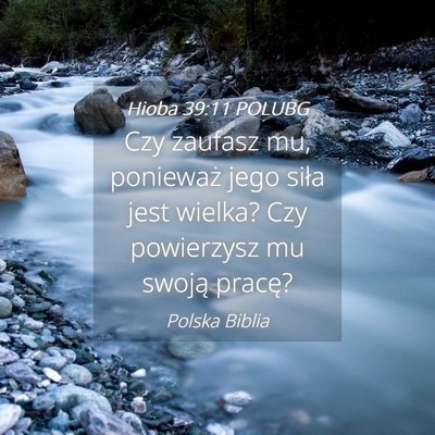 Picture 04 - Hioba 39:11 POLUBG - Czy zaufasz mu, ponieważ jego siła jest wielka? - Bible Verse Picture