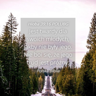 Picture 04 - Hioba 39:16 POLUBG - Jest twardy dla swoich młodych, jakby nie były - Bible Verse Picture