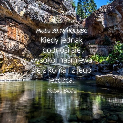 Picture 04 - Hioba 39:18 POLUBG - Kiedy jednak podnosi się wysoko, naśmiewa się - Bible Verse Picture