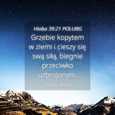 Picture 04 - Hioba 39:21 POLUBG - Grzebie kopytem w ziemi i cieszy się swą - Bible Verse Picture