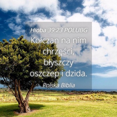 Picture 04 - Hioba 39:23 POLUBG - Kołczan na nim chrzęści, błyszczy oszczep i - Bible Verse Picture