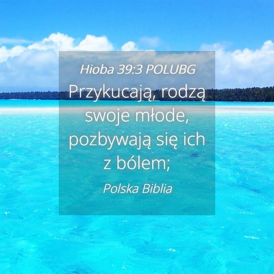 Picture 04 - Hioba 39:3 POLUBG - Przykucają, rodzą swoje młode, pozbywają się - Bible Verse Picture