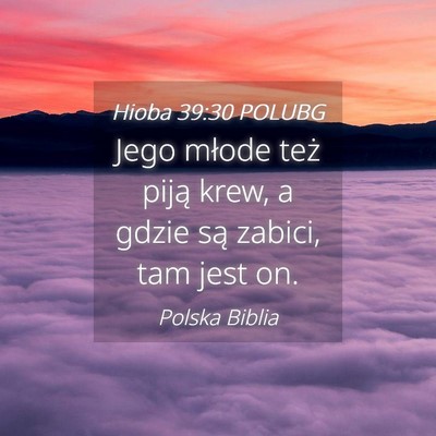 Picture 04 - Hioba 39:30 POLUBG - Jego młode też piją krew, a gdzie są zabici, - Bible Verse Picture